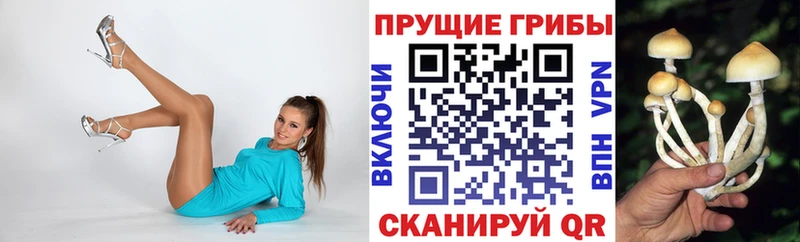 Галлюциногенные грибы прущие грибы  Пятигорск 