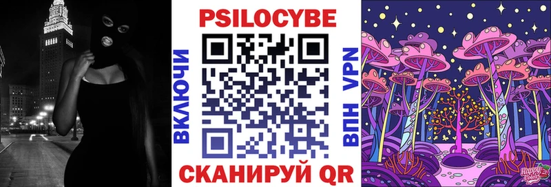 Псилоцибиновые грибы Psilocybe Пятигорск