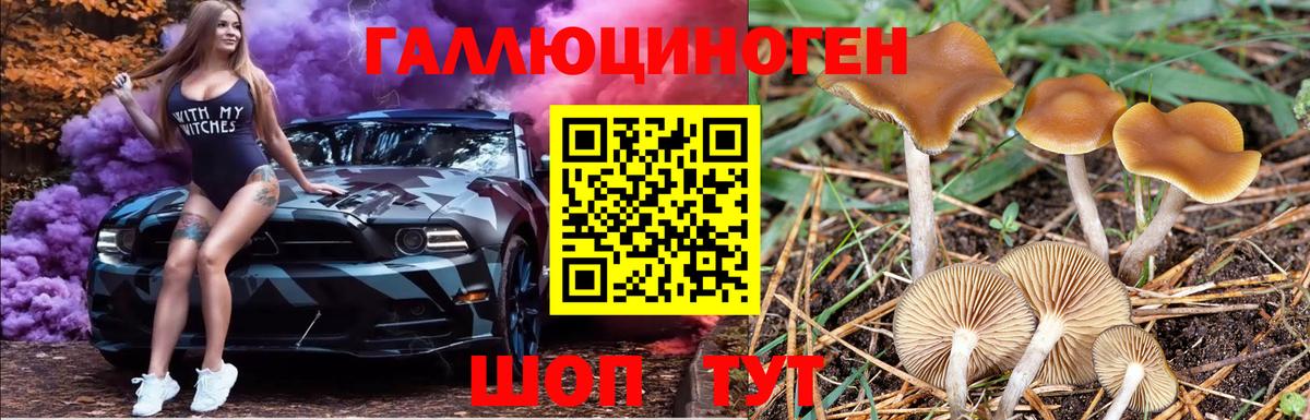 Псилоцибиновые грибы Cubensis  Вход с VPN  Пятигорск 